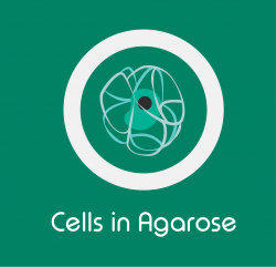 CTAs_ppRNAseq_Cells in Agarose_Cellls in Agarose CTA - dolomite bio