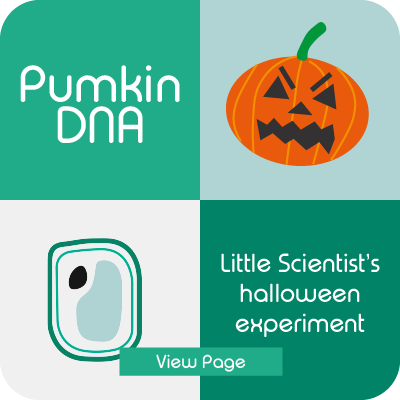 Pumpkin DNA