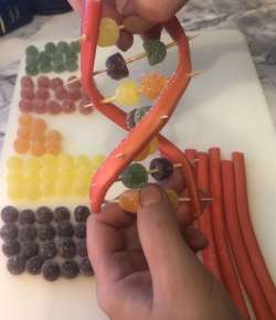 candy- DNA-model _  final step part 1